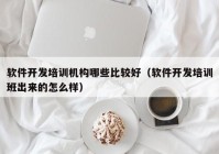 软件开发培训机构哪些比较好（软件开发培训班出来的怎么样）