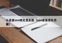 小企业seo优化怎么选（seo企业优化方案）