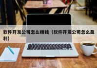 软件开发公司怎么赚钱（软件开发公司怎么盈利）